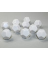 Set de 10 Dados Opaco Blanco - 12 Caras - Chessex