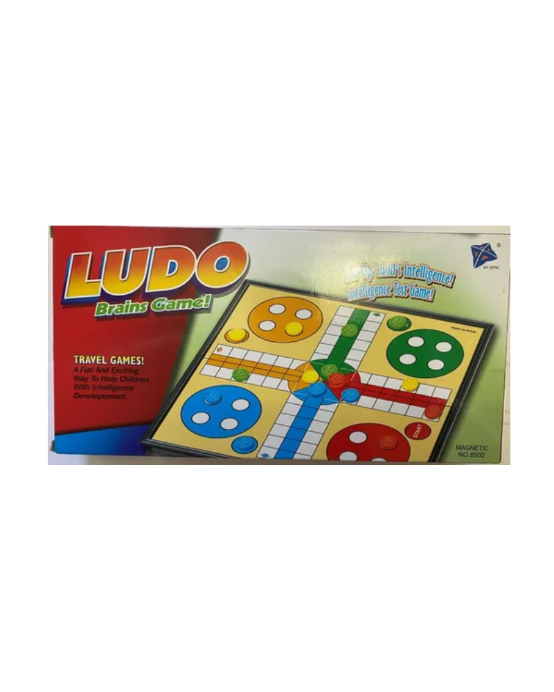 Ludo Magnetico