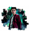 Puzzle 1000 piezas - Harry Potter Villanos - Clementoni