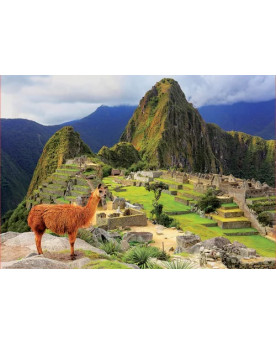 Puzzle 1000 Piezas - Machu...